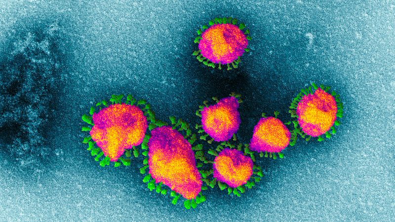 Phát hiện mới về đột biến chưa từng thấy của virus corona