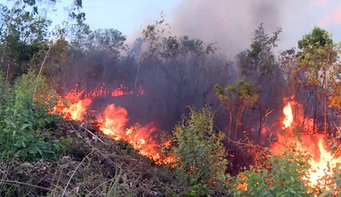 Đà Nẵng: Đang cháy đỉnh núi Sọ, lực lượng chức năng chưa thể tiếp cận