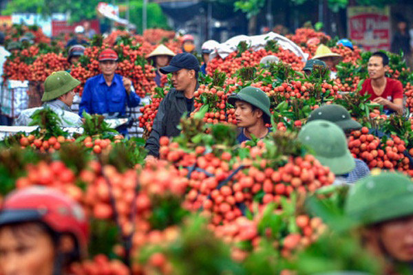 Phiên chợ rực sắc vải đỏ độc nhất Việt Nam