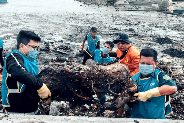 Hơn 8.600 người dọn sạch bờ biển Ninh Thuận
