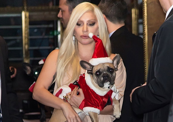 Lady Gaga được trả lại chó cưng