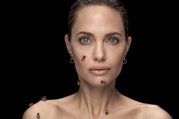 Angelina Jolie chụp ảnh với ong