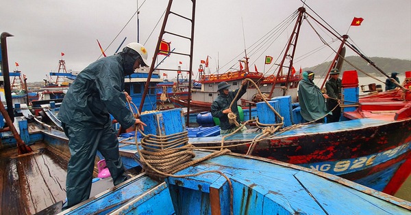 Bão Rai sắp vào Biển Đông, Quảng Nam, Đà Nẵng cấm tàu thuyền ra khơi