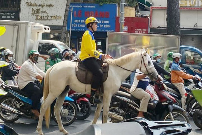 Xử phạt người đàn ông cưỡi ngựa khắp trung tâm TP.HCM