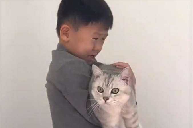 Gần 8 triệu lượt xem clip cậu bé khóc vì mèo rụng lông