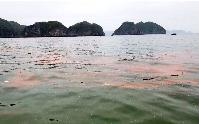 Rác thải 'bủa vây', luồng nước màu đỏ cam xuất hiện ở vịnh Lan Hạ