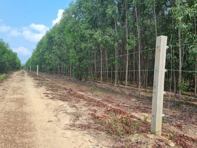 Thêm 15 km hàng rào điện bảo vệ đàn voi hoang dã ở Đồng Nai