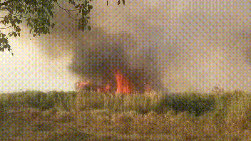 Cháy bãi cỏ ở TP HCM, bụi than lan xa 10 km