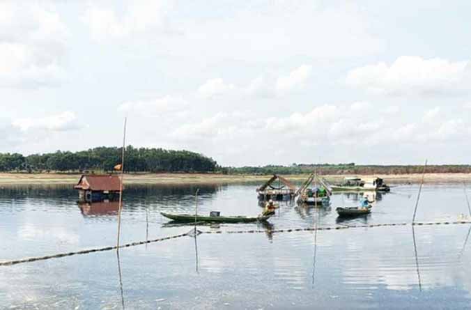 200 tấn cá chết ở hồ thuỷ lợi tại Đồng Nai đã được dọn